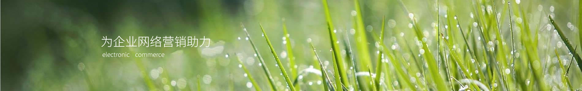 ֥ͿƼ޹˾